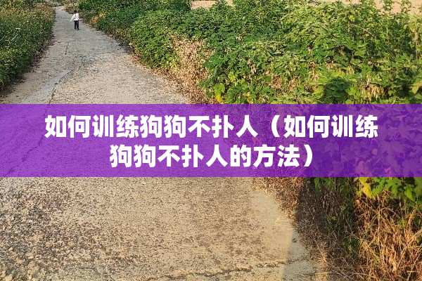 如何训练狗狗不扑人（如何训练狗狗不扑人的方法）