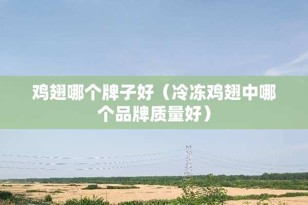 鸡翅哪个牌子好（冷冻鸡翅中哪个品牌质量好）