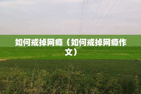 如何戒掉网瘾（如何戒掉网瘾作文）