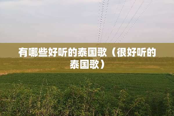 有哪些好听的泰**（很好听的泰**）