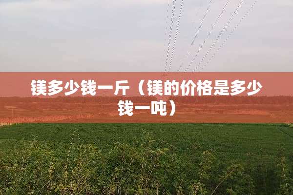 镁多少钱一斤（镁的价格是多少钱一吨）