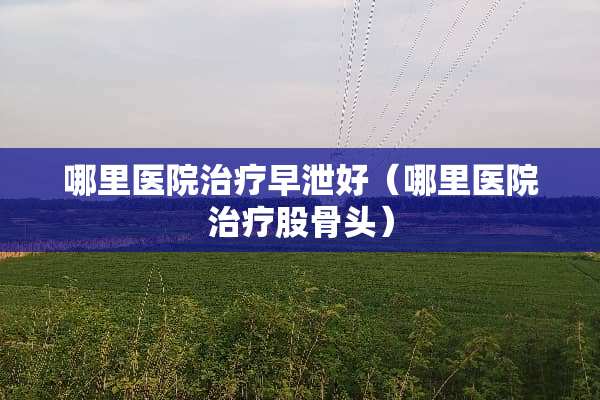 哪里医院治疗**好（哪里医院治疗股骨头）