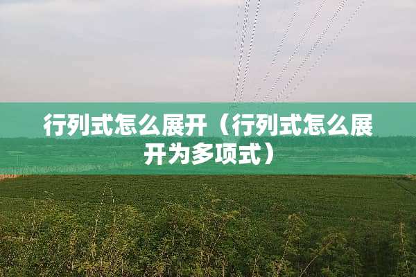 行列式怎么展开（行列式怎么展开为多项式）