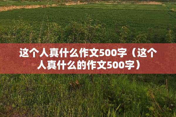 这个人真什么作文500字（这个人真什么的作文500字）