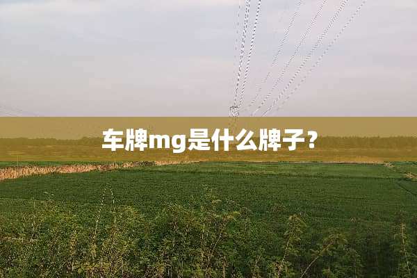 车牌mg是什么牌子？
