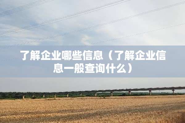 了解企业哪些信息（了解企业信息一般查询什么）