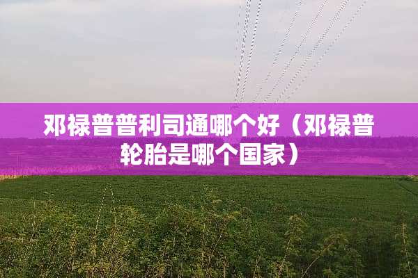 邓禄普普利司通哪个好（邓禄普轮胎是哪个国家）