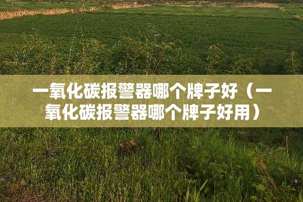 一**碳报警器哪个牌子好（一**碳报警器哪个牌子好用）