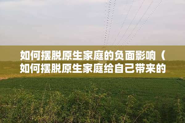 如何摆脱原生家庭的负面影响（如何摆脱原生家庭给自己带来的负担）