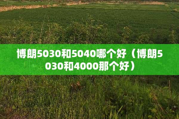博朗5030和5040哪个好（博朗5030和4000那个好）