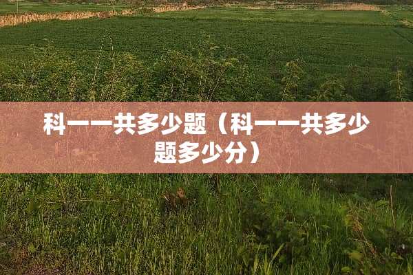 科一一共多少题（科一一共多少题多少分）