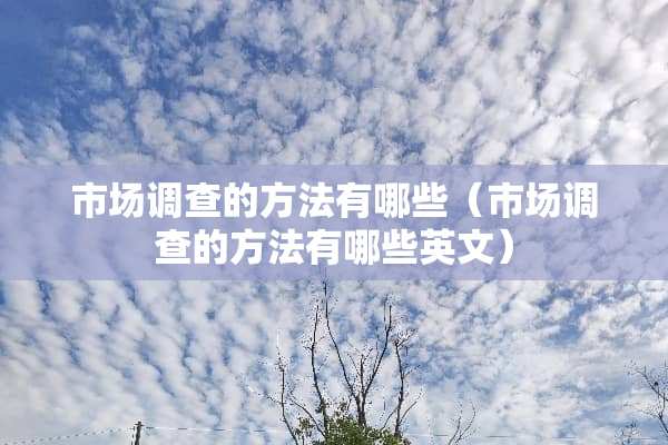 市场调查的方法有哪些（市场调查的方法有哪些英文）