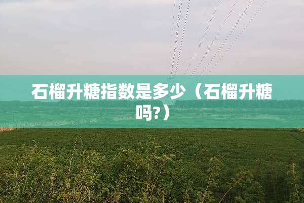 石榴升糖指数是多少（石榴升糖吗?）