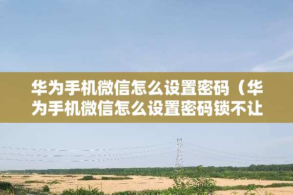 华为手机微信怎么设置密码（华为手机微信怎么设置密码锁不让别人打开）