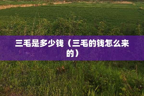 三毛是多少钱（三毛的钱怎么来的）