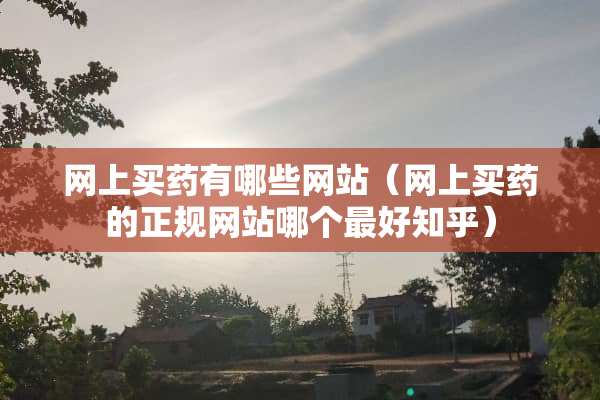 网上买药有哪些网站（网上买药的正规网站哪个最好知乎）