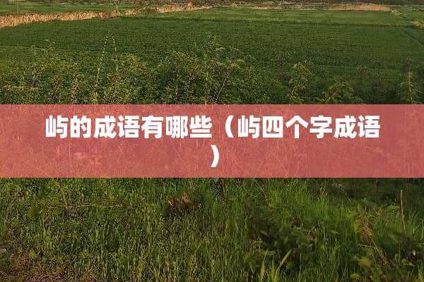 屿的成语有哪些（屿四个字成语）