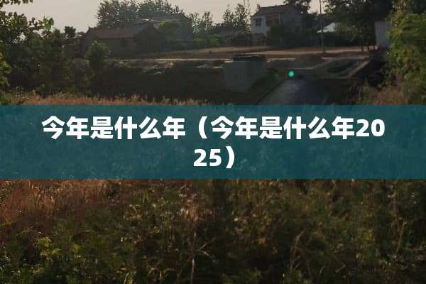 今年是什么年（今年是什么年2025）