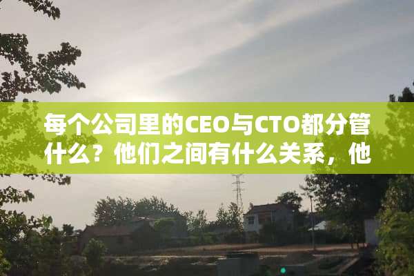 每个公司里的CEO与CTO都分管什么？他们之间有什么关系，他们的级别有大有小吗？
