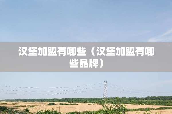 汉堡加盟有哪些（汉堡加盟有哪些品牌）