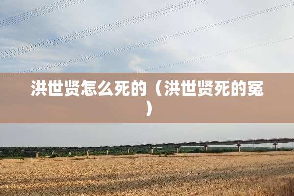 洪世贤怎么死的（洪世贤死的冤）
