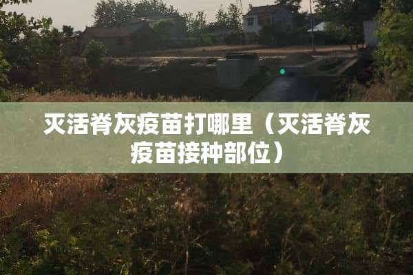 灭活脊灰**打哪里（灭活脊灰**接种部位）