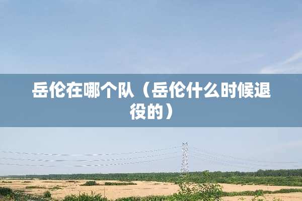 岳伦在哪个队（岳伦什么时候退役的）