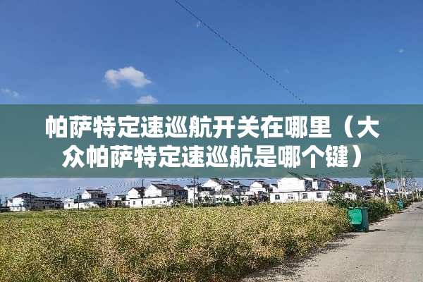 ***定速巡航开关在哪里（大众***定速巡航是哪个键）