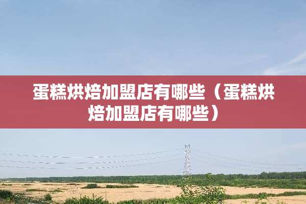 蛋糕烘焙加盟店有哪些（蛋糕烘焙加盟店有哪些）