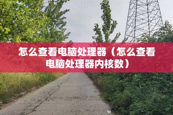 怎么查看电脑处理器（怎么查看电脑处理器内核数）