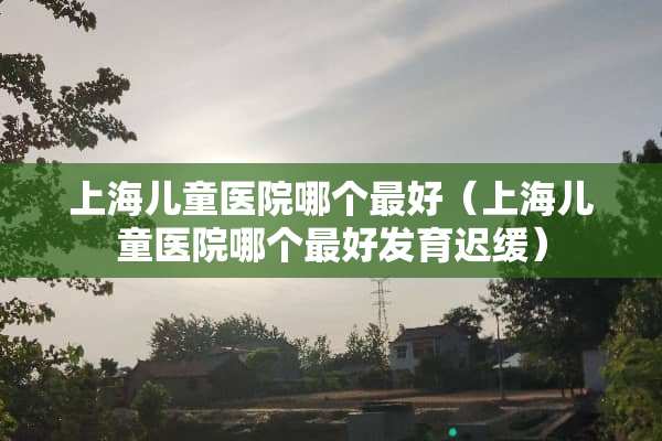 上海儿童医院哪个最好（上海儿童医院哪个最好发育迟缓）