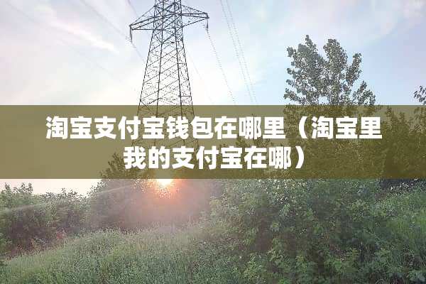 淘宝支付宝钱包在哪里（淘宝里我的支付宝在哪）