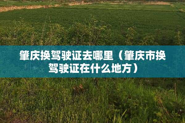 肇庆换***去哪里（肇庆市换***在什么地方）