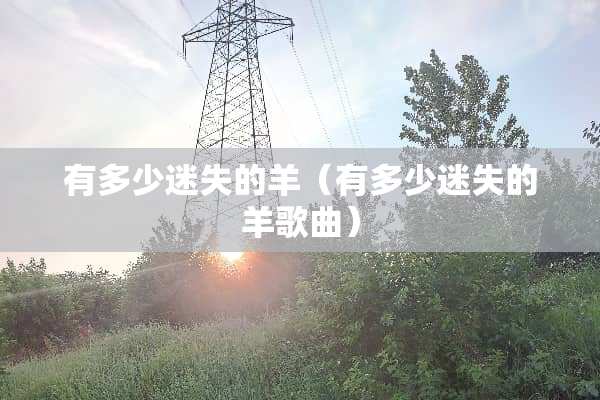 有多少迷失的羊（有多少迷失的羊歌曲）