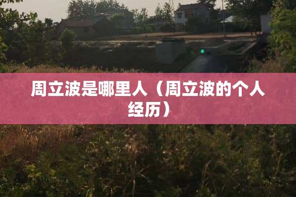 周立波是哪里人（周立波的个人经历）