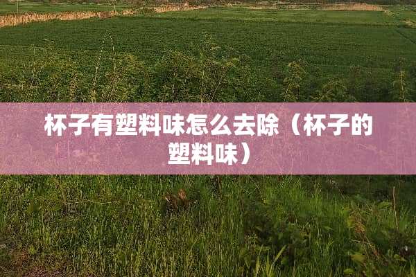 杯子有塑料味怎么去除（杯子的塑料味）