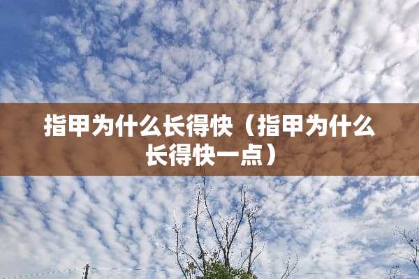 指甲为什么长得快（指甲为什么长得快一点）