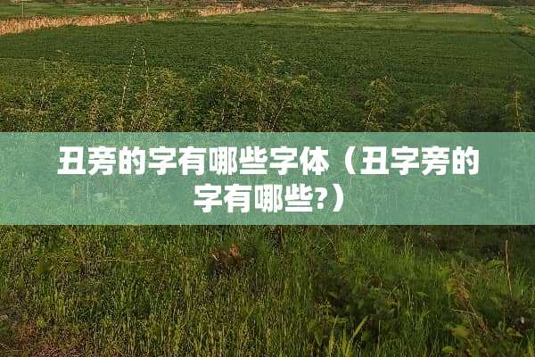 丑旁的字有哪些字体（丑字旁的字有哪些?）