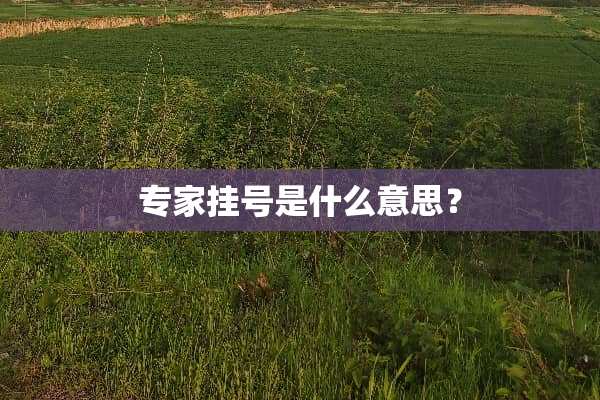 专家挂号是什么意思？