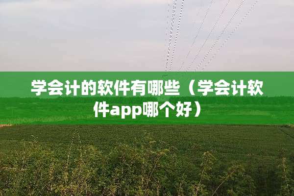 学会计的软件有哪些（学会计软件app哪个好）