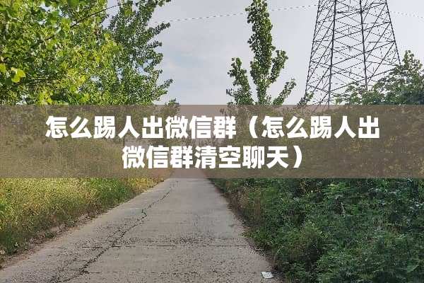 怎么踢人出微信群（怎么踢人出微信群清空聊天）
