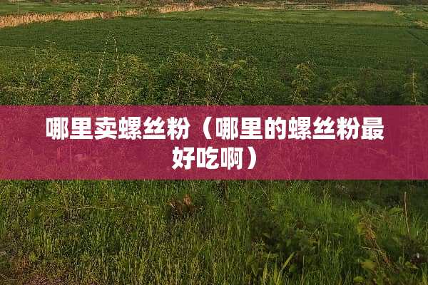 哪里卖螺丝粉（哪里的螺丝粉最好吃啊）