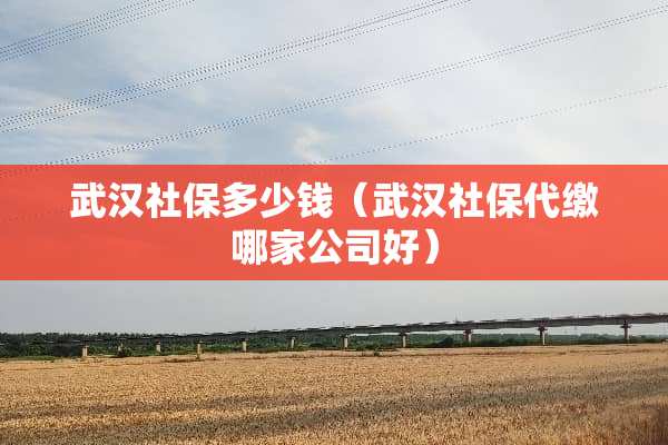 武汉社保多少钱（武汉社保代缴哪家公司好）