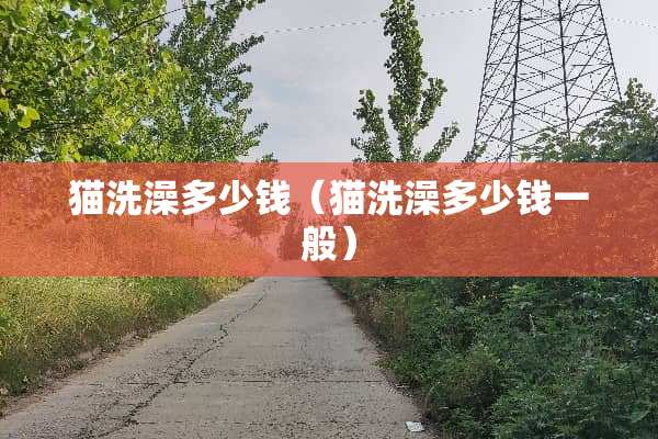 猫洗澡多少钱（猫洗澡多少钱一般）