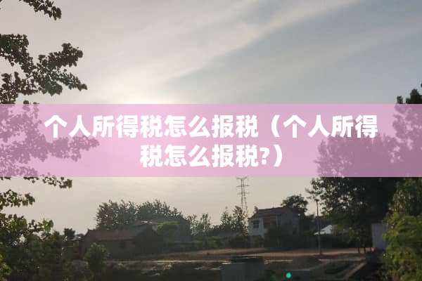 个人所得税怎么**（个人所得税怎么**?）