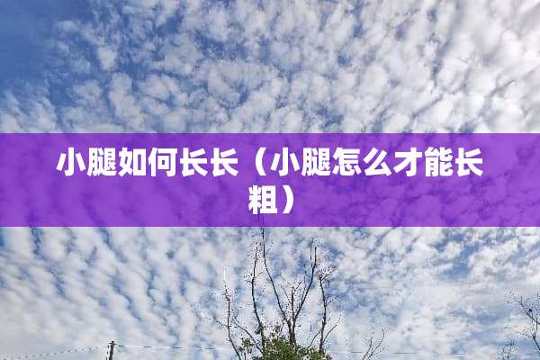 小腿如何长长（小腿怎么才能长粗）
