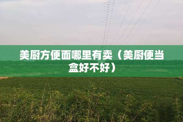 美厨方便面哪里有卖（美厨便当盒好不好）