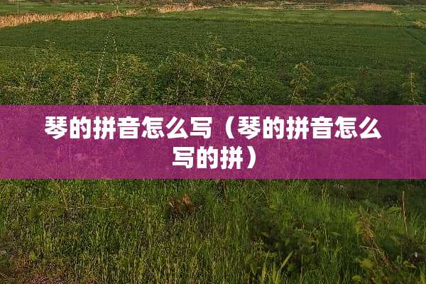 琴的拼音怎么写（琴的拼音怎么写的拼）
