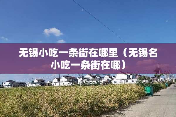 无锡小吃一条街在哪里（无锡名小吃一条街在哪）