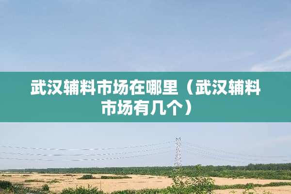武汉辅料市场在哪里（武汉辅料市场有几个）